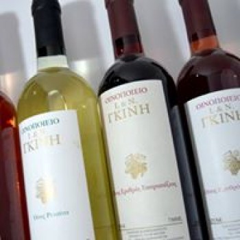 GKINIS WINES 102